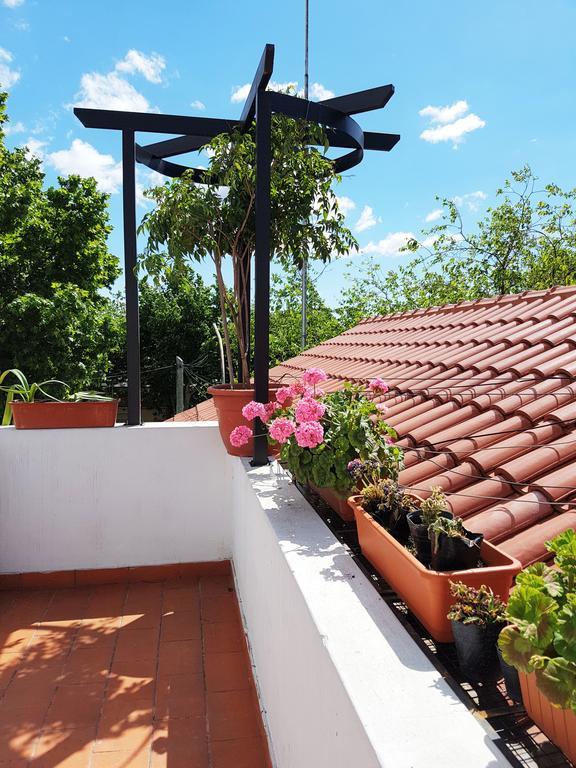 Estúdio com Terraço