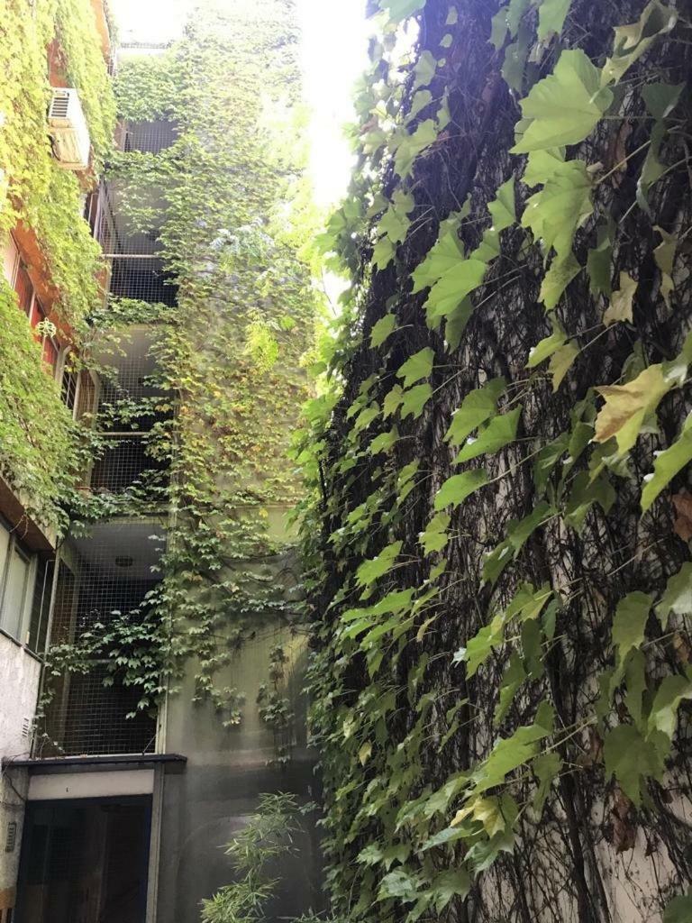 Two-Bedroom Apartment,1411266368:JPEG