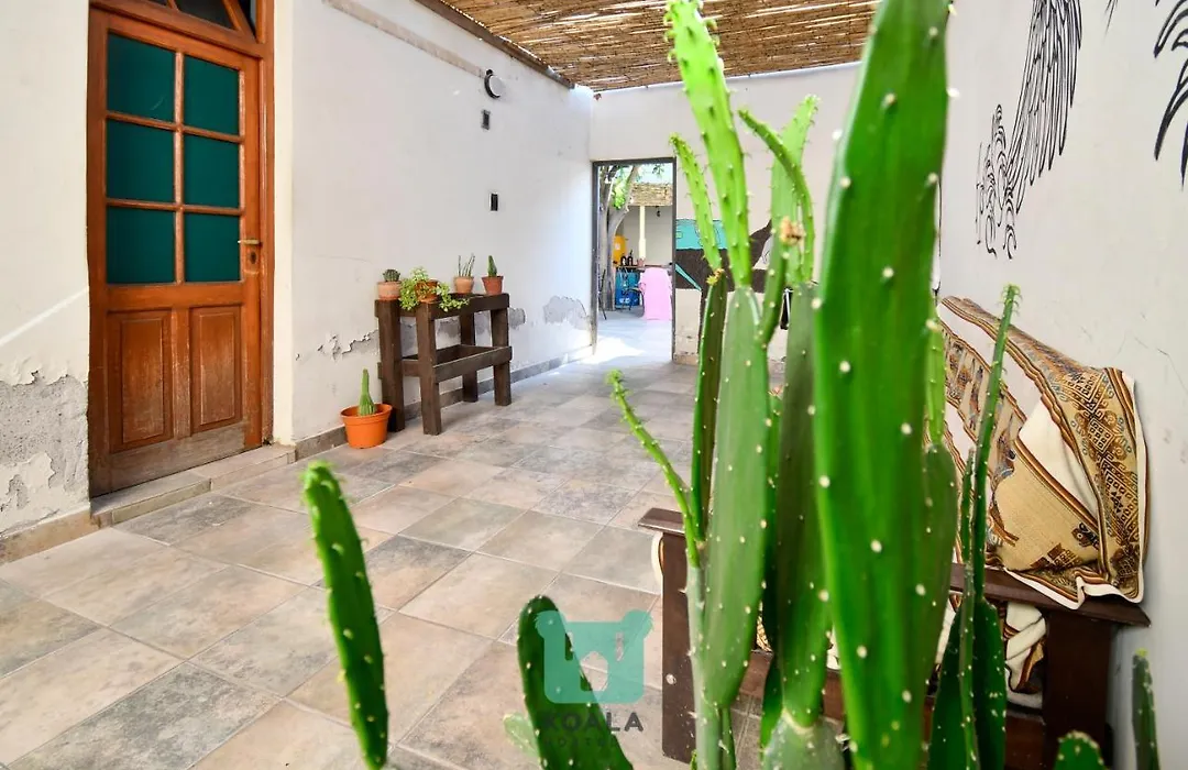 Koala Hostel-1