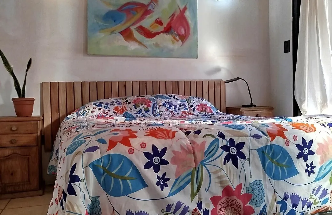 Mi Alma Deptos-1