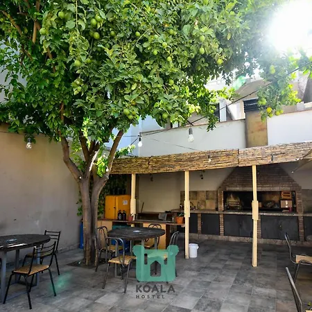 Koala Hostel-3