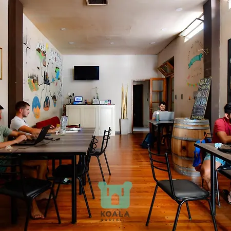Koala Hostel-2