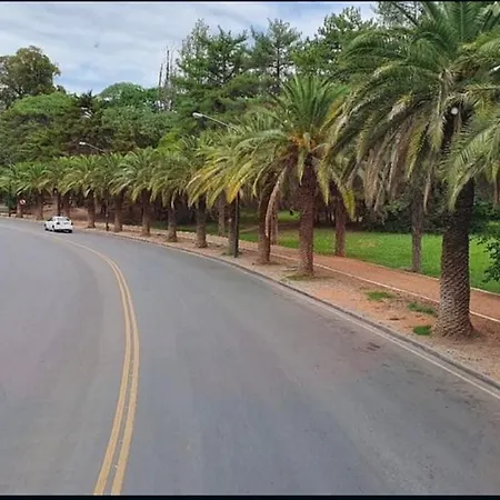 Exclusivo Departamento A Metros De Parque San Martin!-2