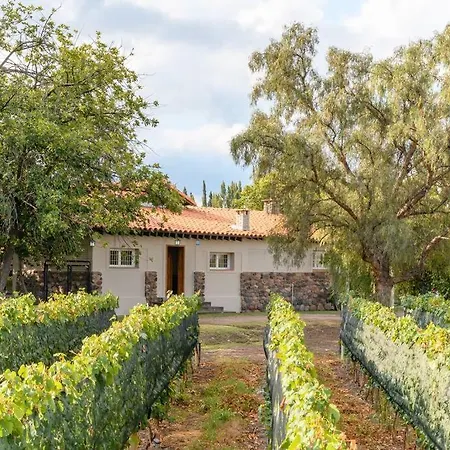Finca Bandini - Guest House - Las Compuertas-2