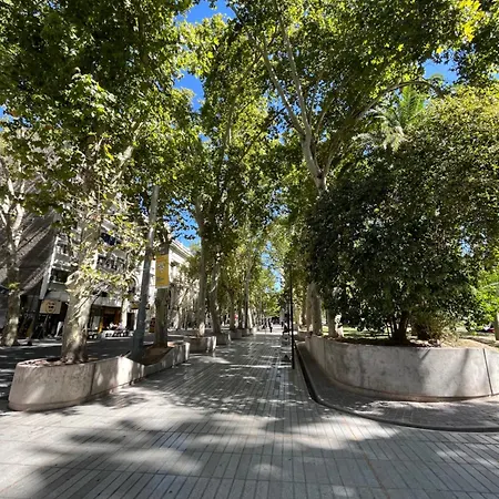 Departamentos del Sol para 4 personas Reciclado a Nuevo-3