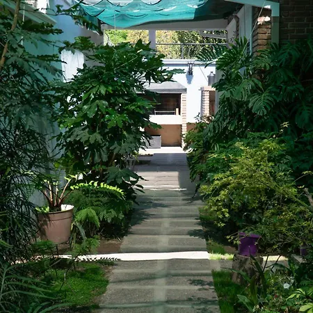 Habitacion En La Casa De Mis Padres-2