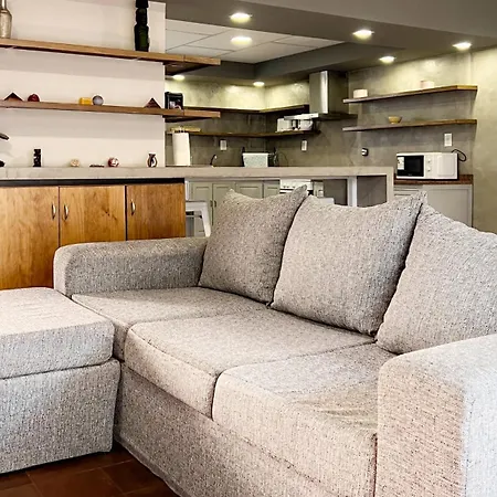 Duplex Mendoza Con Cochera Techada-2