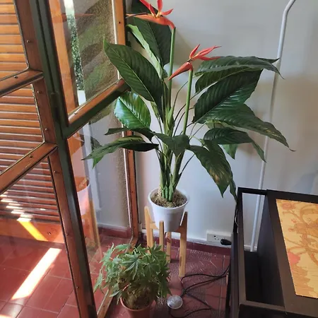 Departamento San Jorge-2