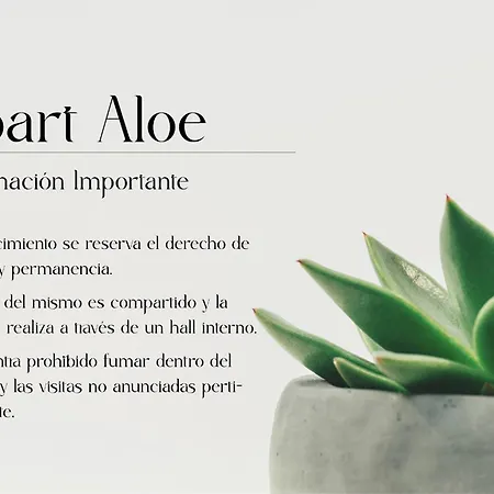 Apart Aloe-2