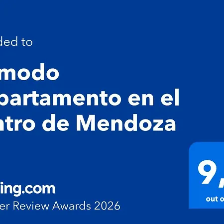 Comodo Departamento En El Centro De Mendoza-2