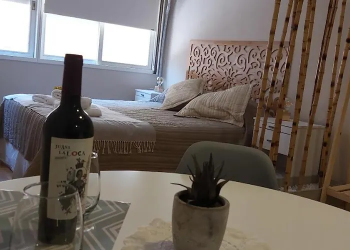 Apartamento Mzacentro Mendoza admite animales