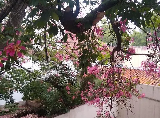 Apartamento Alem Mendoza admite animales