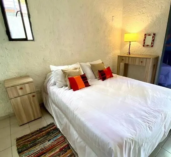 Duplex Con Terraza Y Cochera Para Auto, No Camioneta! Apartamento Mendoza