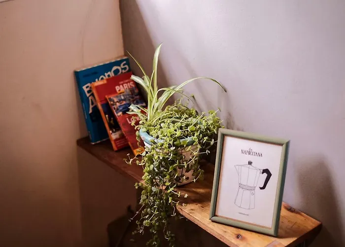 Leónidas Design Loft Mendoza admite animales